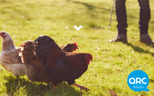 Bij QRC dragen we graag een steentje bij! Bekijk hoe we dit doen!